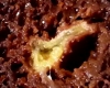 Cake Chocolat Banane