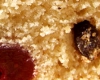 Cake en map