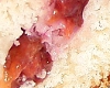 Cake Individuel