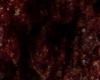 Cake Micro Onde