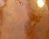 Caramel Beurre Sale