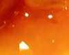 Caramel Choux