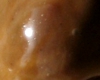 Caramel Pièce Montée