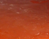 Caramel Tatin