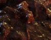 Carbonnade Flamande Pain d'Epices