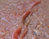 Carpaccio de Boeuf Cuit