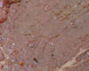 Carpaccio de Boeuf Marin
