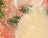 Carpaccio de Boeuf Parmesan