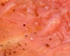 Carpaccio de Boeuf Sauce Cassis et Porto