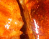 Carré de Porc au Miel et aux Pommes