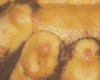 Charlotte au Chocolat au Lait