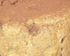 Charlotte au Chocolat avec Gélatine