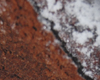 Charlotte au Chocolat et Mascarpone