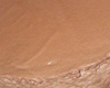 Charlotte au Chocolat Glac