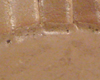 Charlotte au Chocolat Nestl