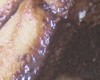 Charlotte au Chocolat Sans Oeuf