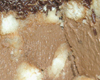 Charlotte au Chocolat Simple
