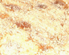 Charlotte aux Amandes