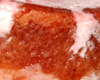 Charlotte aux Fraises