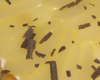 Charlotte aux Poires et Chocolat