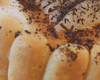 Charlotte aux Poires Sauce Chocolat