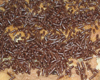Charlotte aux Trois Chocolats