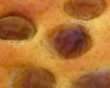 Clafoutis aux Mirabelles