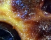 Clafoutis aux Pruneaux