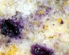 Clafoutis Bleuets