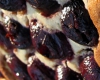 Clafoutis Moelleux