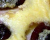 Clafoutis Prunes