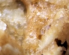 Cookies Fondant