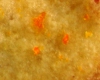 Cookies Orange