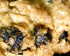 Cookies Raisins Secs