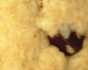 Cookies Trs Moelleux