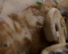 Côte de Veau Champignons