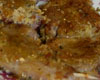 Ctelette d'Agneau Moutarde