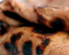 Crpe Croustillante