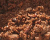 Crumble au chocolat