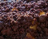 Crumble Chocolat