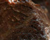 Daube de Boeuf au Citron