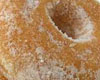 Donuts au Sucre