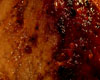 Echine de Porc au Miel