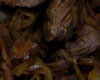 Emincé de Boeuf aux Oignons