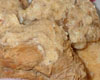 Escalope de Veau  l'Ail