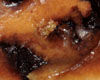 Far breton aux raisins secs