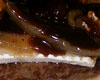 Filet de Boeuf au Foie Gras et Cpes