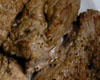 Filet de Boeuf au Four