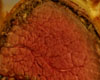 Filet de Boeuf Wellington