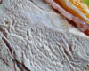 Filet Mignon de Porc en Croute Moutarde